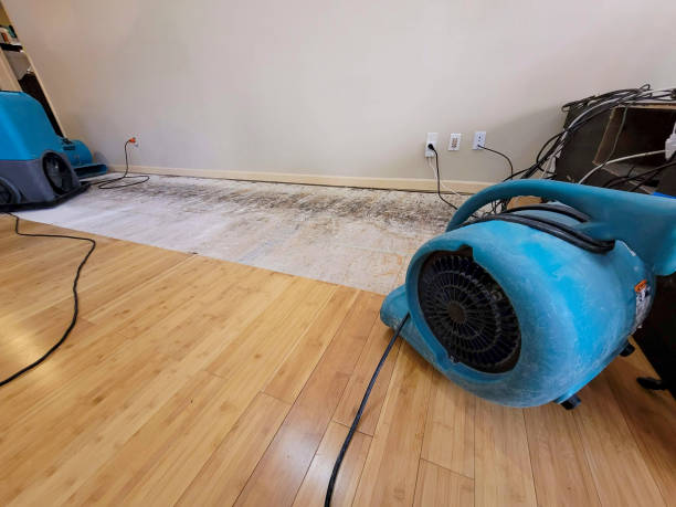 Professional Water Removal technician working in Frankston, TX